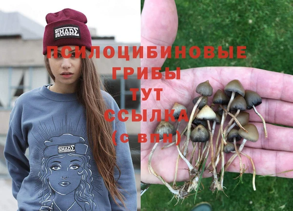 марки lsd Карталы