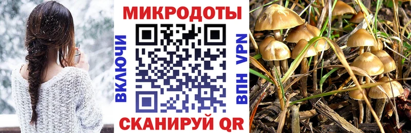 Галлюциногенные грибы Magic Shrooms  Купить  Чебаркуль 